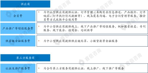 某電商公司戰(zhàn)略規(guī)劃項(xiàng)目案例 塑造新一代電子商務(wù)服務(wù)生態(tài)